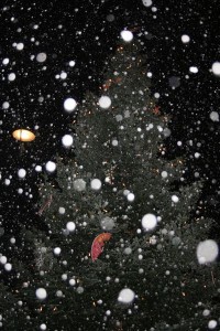 weihnachtsbeumerleuchtung_2008